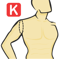 Sleeve Joint Circumference